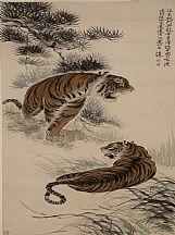 160526_张善孖_虎