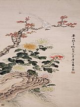 1605230_朱偁_鸟菊